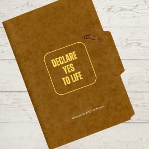 Folder - Declare YES To Life